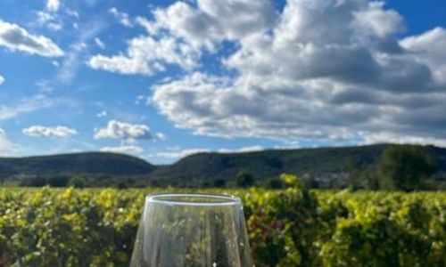 Balade vigneronne au Mas Picas