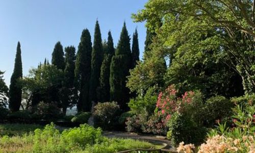 Visite comment&eacute;e des jardins de l'Abbaye