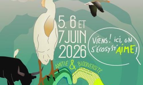 ACTE#6