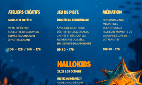 Vacances de la Toussaint - Seaquarium