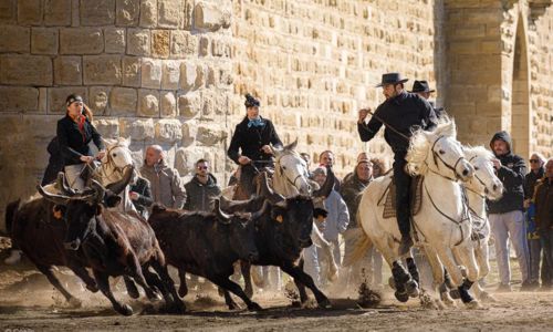 F&ecirc;te d'hiver d'Aigues-Mortes