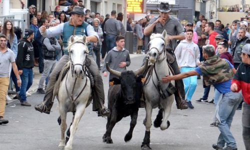 Traditionnelle F&ecirc;te d'Octobre