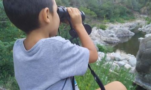 Un &eacute;t&eacute; dans le parc - Aff&ucirc;t Castor