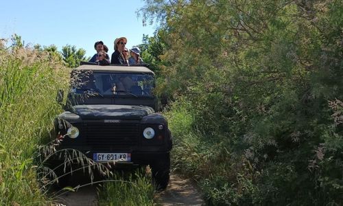 Safari 4x4 - Karine C&oelig;ur de Camargue
