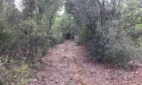 VTT-FFC&reg; - Gorges de la C&egrave;ze et Avens