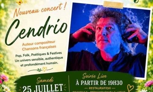 Cendrio en concert