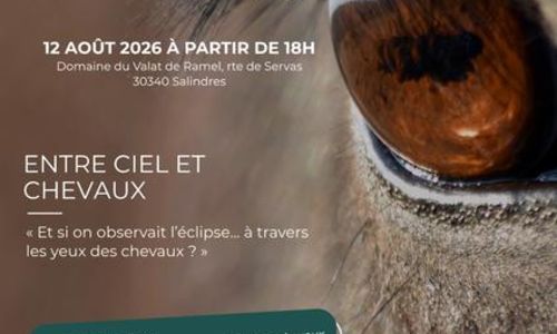 Les Estivales du Refuge - Entre Ciel et Chevaux