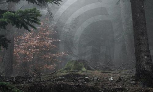 Stage Rando/Photo-S&eacute;jour en C&eacute;vennes