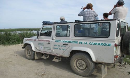 Camargue Aventure - Pierrot le Camarguais
