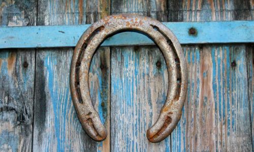 Visites guid&eacute;es du Haras National d'Uz&egrave;s - Uz&egrave;s, Ville d'art et d'histoire