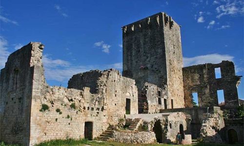 Visite du Ch&acirc;teau de Montclus