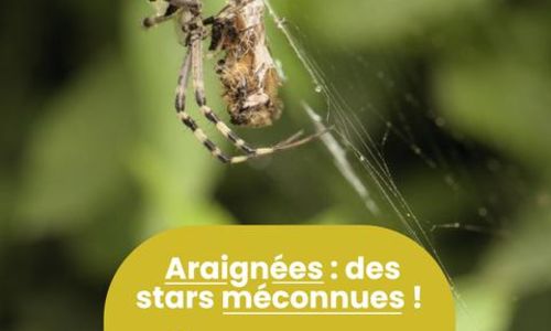 Rendez-vous Nature - Animations et balades gratuites &agrave; Bernis