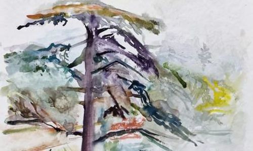 Exposition &laquo;Paysages&raquo; de Michel Steiner