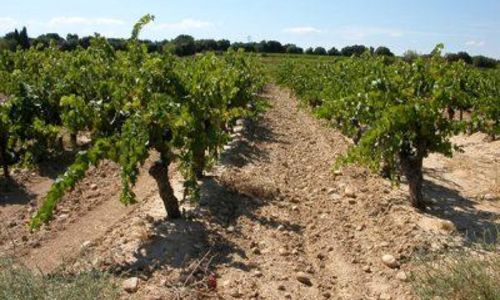 Les Domaines Roudil Jouffret