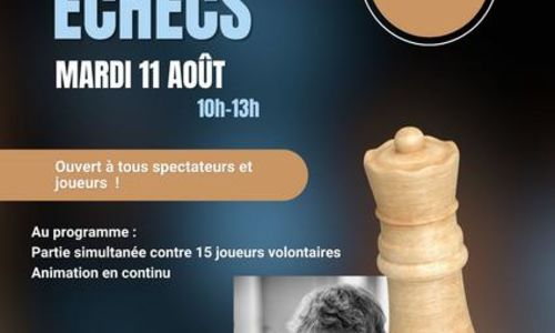 Animation - D&eacute;fi &eacute;checs