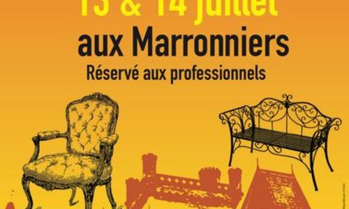 Foire aux Antiquit&eacute;s et &agrave; la Brocante