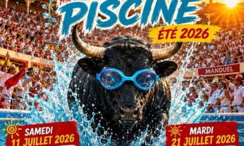 Toro Piscine