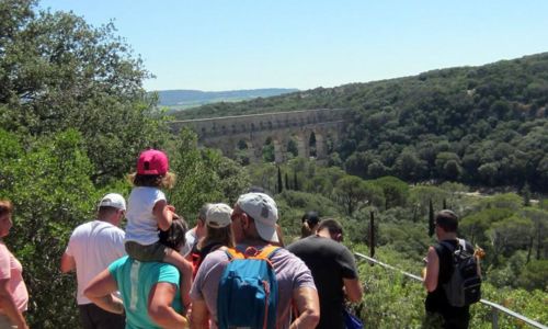 Balade &agrave; la d&eacute;couverte des plantes sauvages comestibles au Pont du Gard