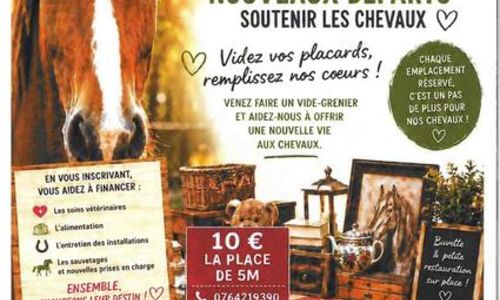 Vide grenier de l'association "Nouveaux d&eacute;parts" &agrave; Goudargues