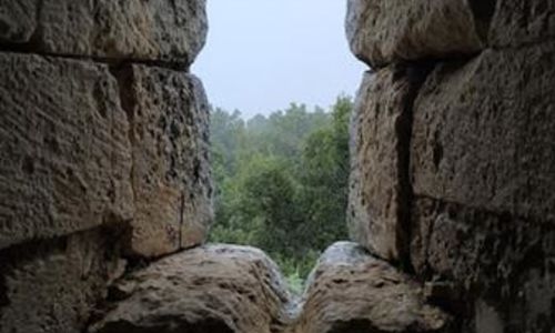 Journ&eacute;es Europ&eacute;ennes du Patrimoine 2026 - D&eacute;monstration : orientation des chapelles romanes vers la Vierge ?