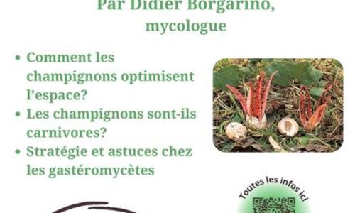 Conf&eacute;rence - 10 histoires &eacute;difiantes sur les champignons