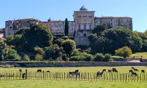 Promenade &agrave; cheval - La Roque d'Aubais