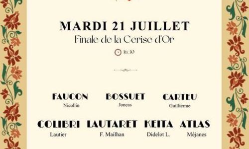 Course camarguaise - Troph&eacute;e niveau avenir - Finale de la Cerise d'Or