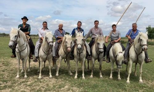Une journ&eacute;e en Camargue &agrave; la Manade de la Vidourlenque