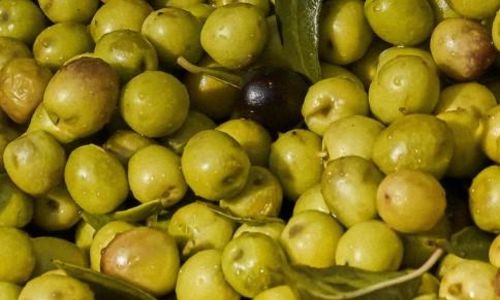 Les d&eacute;gustations gourmandes de Pan&eacute;ry