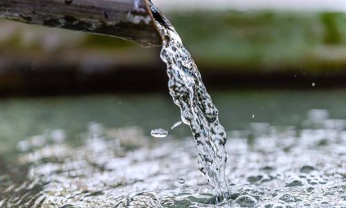 Une ferme c&eacute;venole autonome en eau