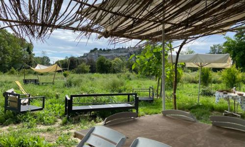 Balade "Plantes sauvages et permaculture"