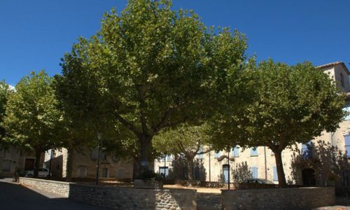 Le Crit&eacute;rium des vignes