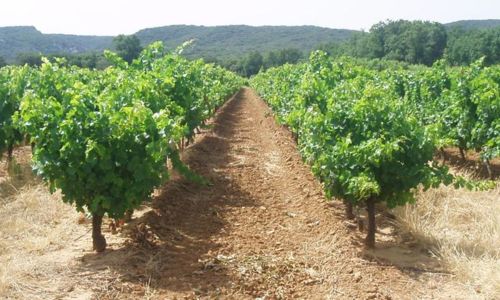 Domaine de Valseni&egrave;re