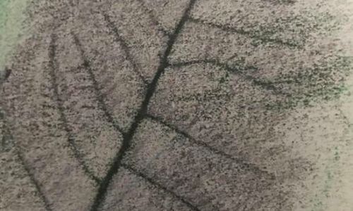 Conte, Land Art et Atelier d'&eacute;criture