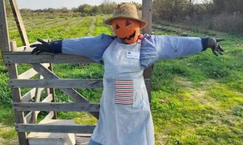 Halloween au Mas en Provence
