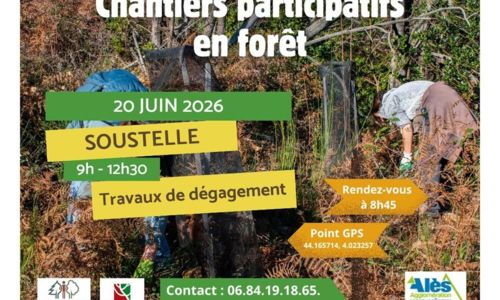 Chantiers participatifs en for&ecirc;t