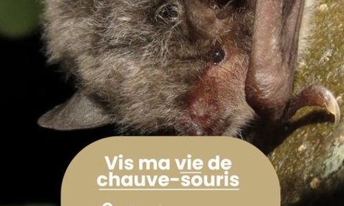 Rendez-vous Nature - Animations et balades gratuites &agrave; Poulx