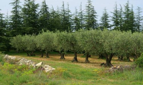 Promenade &agrave; cheval - Autour d'Asp&egrave;res