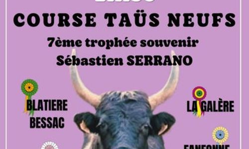 Course camarguaise Ta&ugrave;s