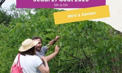 Visite du Jardin