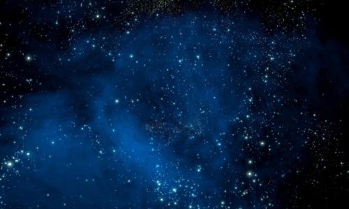 Le jour de la nuit : &agrave; la d&eacute;couverte de la biodiversit&eacute; nocturne