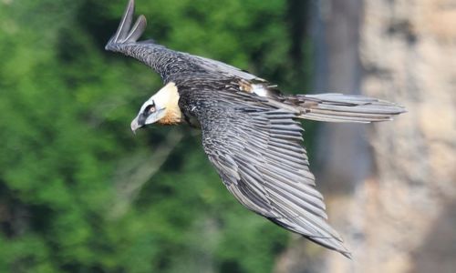 Exposition - Lumi&egrave;res c&eacute;venoles