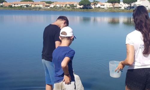 Sortie plage avec le Seaquarium institut Marin