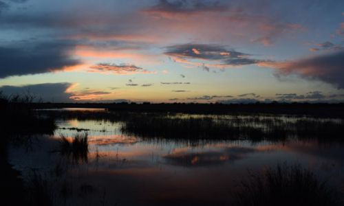 Journ&eacute;es europ&eacute;ennes du patrimoine : visites guid&eacute;es - Passion Nature Camargue