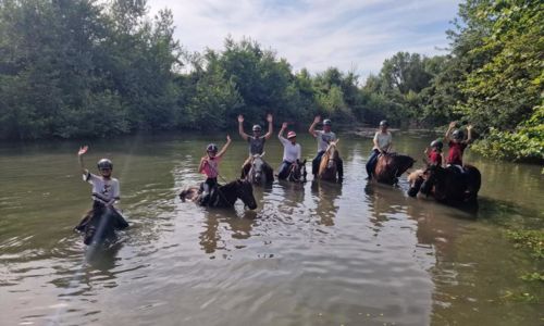 Balades Aquatiques &agrave; cheval - Les Poneys d'Aurel