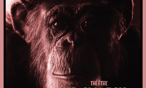 Th&eacute;&acirc;tre aux Tr&eacute;teaux du Collet