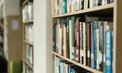 Biblioth&egrave;que municipale de Carnas