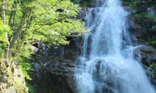 Exposition : L'eau... miroir des C&eacute;vennes