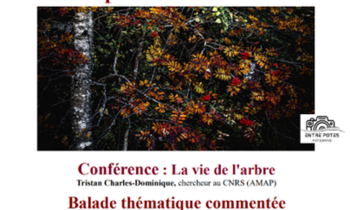 Exposition photos "Aupr&egrave;s de mon arbre"