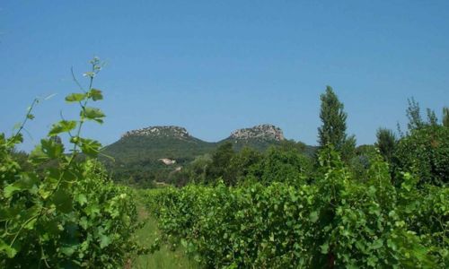 La Mont&eacute;e du Causse